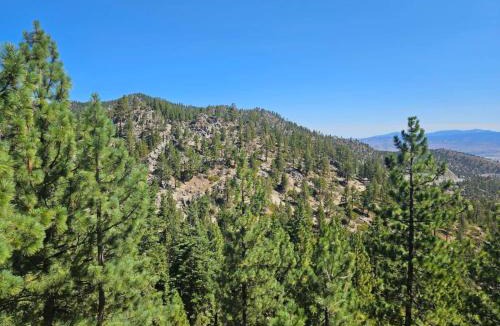 Tahoe Village Apartment | Heavenly Stagecoach Ski Retreat
