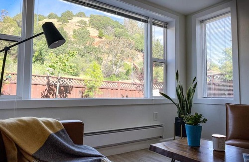 San Anselmo Apartment | Hip and chic one bedroom apartment