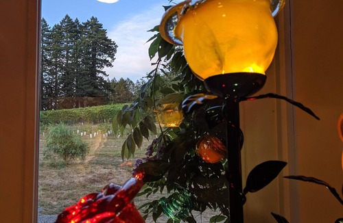 Freestone House | Historic Ranch House on a Premier Wine Label's Vineyard in Sonoma Wine Country