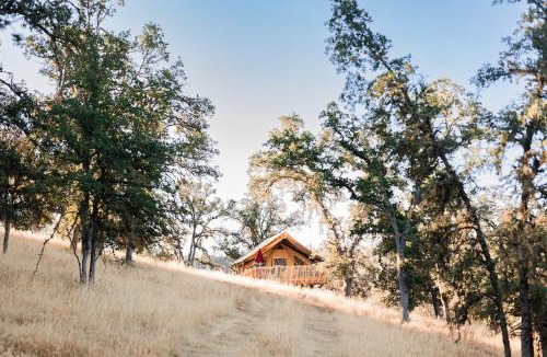 Lower Lake Other | Huttopia Wine Country - Northern California