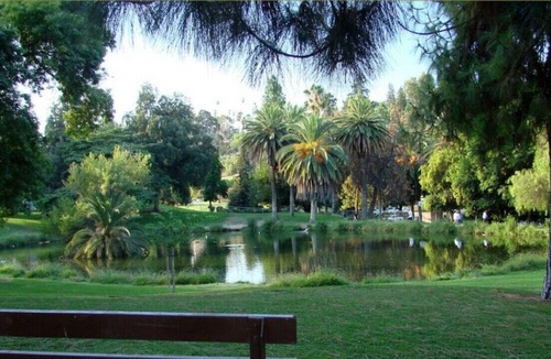 Redlands House | King Bed | Travel | Work | Dog Friendly
