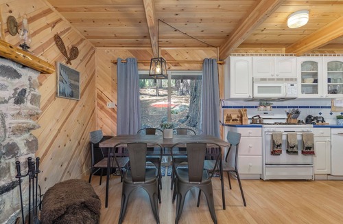 Camp Connell Cabin | Knotty by Nature - Adorable Cabin on Private Road with Firepit! (winter only)