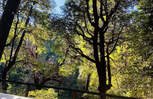 Georgetown Cabin | Lagunita- lakeside cabin w/2 bunkhouses & HOT TUB! $300. Per night for all 3!