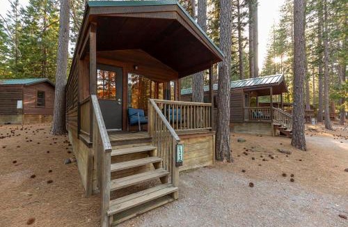 Mount Shasta Resort | Lake Siskiyou Camp Resort