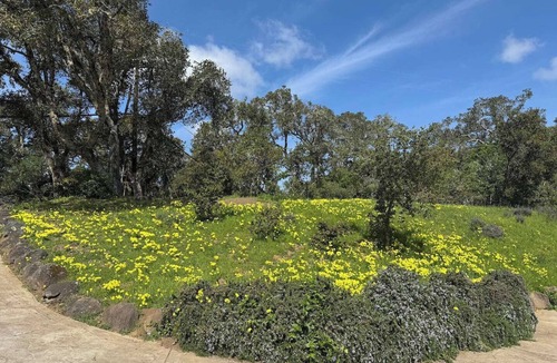 Woodside House | Lakefront Redwood Retreat 15 Minutes from Stanford