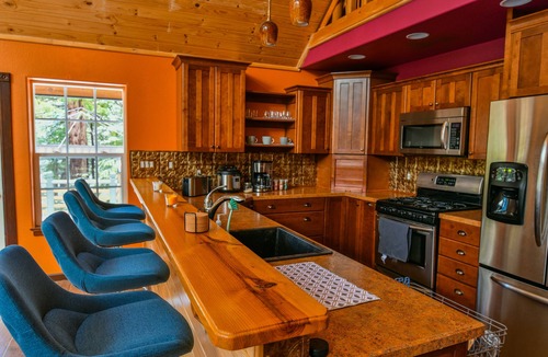 Shingletown Cabin | Lassen Creekside Cabin, 9 Miles to Park, Fire Pit, Level 2 EV Charger, Pets!
