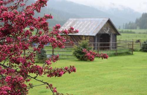 Trout Creek House | Little Beaver Creek Ranch Four Bedroom Guest House