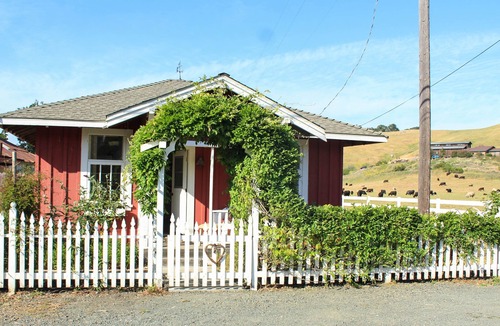 Harmony House | Little Cottage in Harmony
