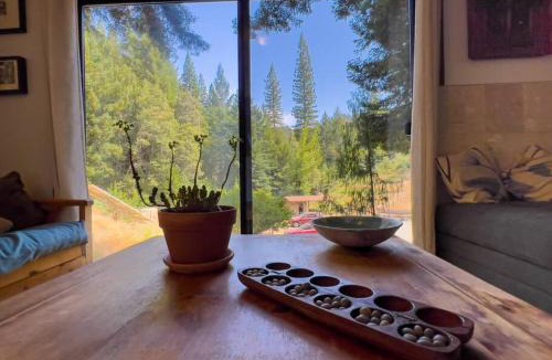 Garberville Apartment | Little House in the Redwoods with a hot tub!