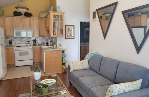 Old Bend Apartment | LOCATION! WALK TO DOWNTOWN AND OLD MILL - ONE BEDROOM ONE BLOCK FROM THE RIVER
