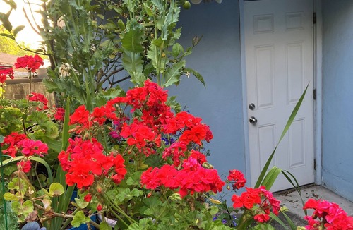 Daly City Apartment | Lovely Garden Retreat Near Bart and Shops