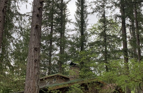 Gates House | Luxury Fishing Cabin on the North Santiam