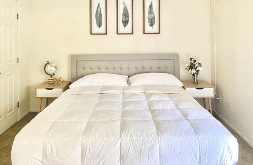 South Natomas Apartment | Luxury Sacramento Apartment, King Bed, Fast Wi-Fi