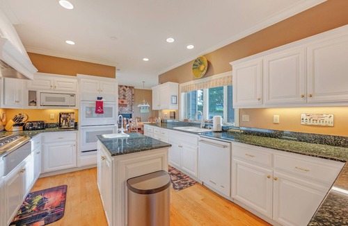Healdsburg House | Lytton Station Vineyard - Stunning 360-degree vineyard views