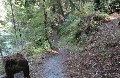 Garberville Cabin | "Madrone" Cabin In the Redwoods, River Access, WiFi