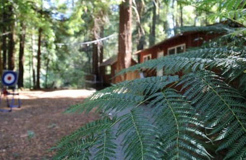 Garberville Cabin | "Madrone" Cabin In the Redwoods, River Access, WiFi
