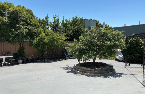 Maxwell Park Apartment | Maxwell Park Beauty/Huge Backyard