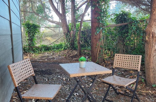 McKinleyville Apartment | Modern Retro Retreat