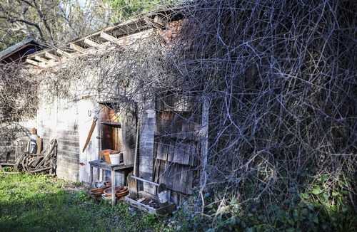 Murphys Cottage | Murphys Wine Cottages: Fishing Cabin Sleeps 3, Economy Priced