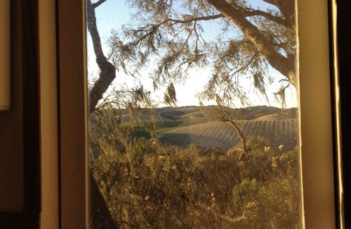 Paso Robles House | nCoach House Cottage in heart of wine region with vineyard views