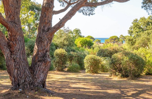 Hameau de Palombaggia Villa | NEW VILLA for 12 people feet in the water on the beach of Palombaggia