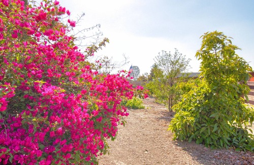 Woodcrest House | Newly Built 2 Bed 1 Full Bath on 1 acre in a peaceful area of Riverside CA.