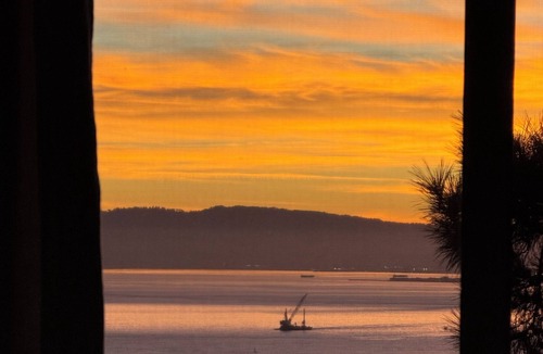 Sausalito Condo | Newly Renovated with Panoramic Views--Stylish, Secluded, Minutes to SF
