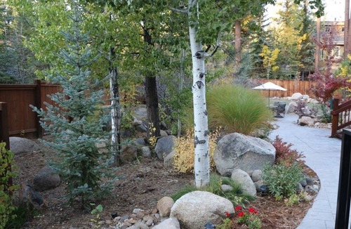 Incline Village Apartment | North Lake Lodges & Villas Studio Apartment