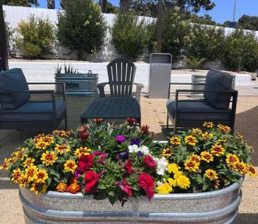 Downtown Hotel | Ocean Palms Motel