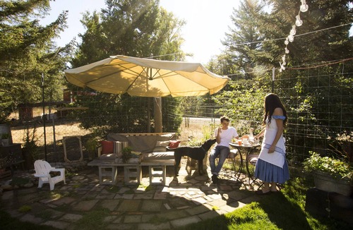Cottage Grove Cottage | Olympic track and field trials Country Cottage