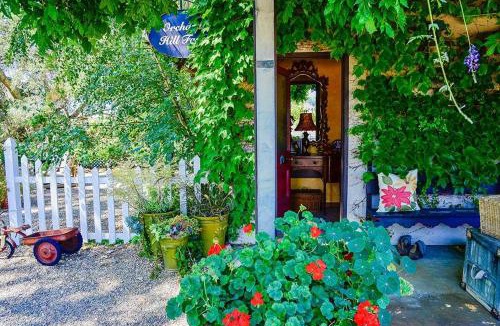 Paso Robles House | Orchard Hill Farm