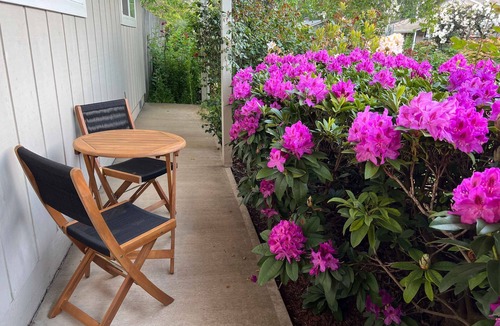 Harlow House | Outdoor Living and Indoor Bar - Entire house - walk to Autzen Stadium