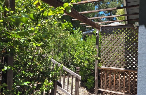 Atascadero Cabin | Peaceful retreat in the woods close to town