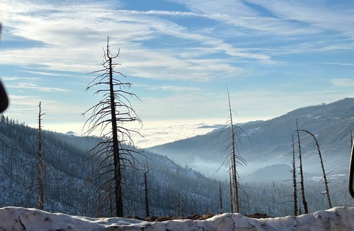 Ponderosa Cabin | Peaceful Sequoia Forest Cabin