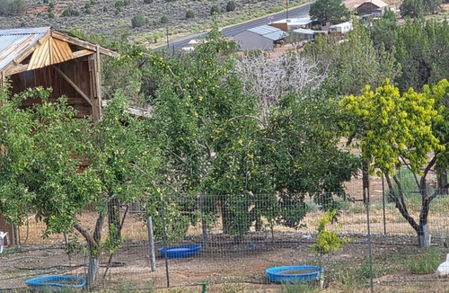 Fredonia House | Perfect 2-bedroom casita with AC in charming Fredonia unbeatable view
