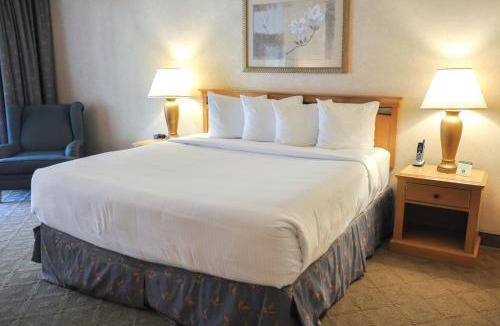 Raisin Hotel | Piccadilly Inn Airport