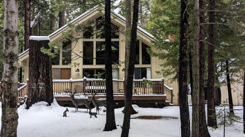 Dorrington House | Pinecone Cottage in Dorrington, CA