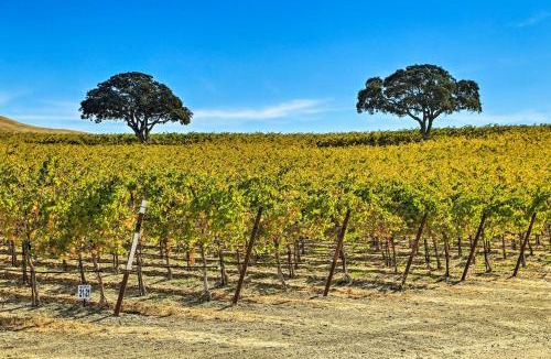 San Miguel House | Pleasant Valley Wine Trail Home - Near Paso Robles