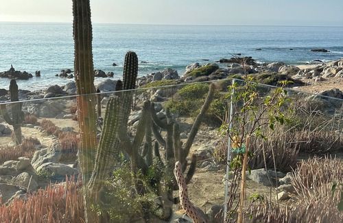 Vinorama House | Pristine Beach Front, 3br Villa, tropical oasis, on the Sea of Cortes. with AC!