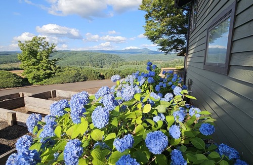 Crawfordsville Apartment | Private apartment with Winter and Spring availabilty