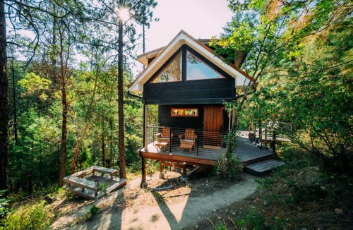 Jacksonville Cabin | Private Cozy Tree Top Studio