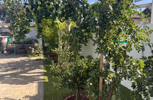 East Side Capistrano House | Private room for rent in Oceanside resort near beach, pier