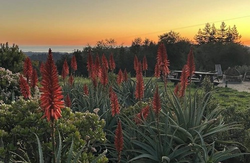 La Selva Beach Apartment | Private Studio with Ocean Views, Radiant Heat, Stunning Sunrises & Sunsets