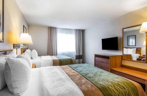 Lone Pine Hotel | Quality Inn Lone Pine near Mount Whitney