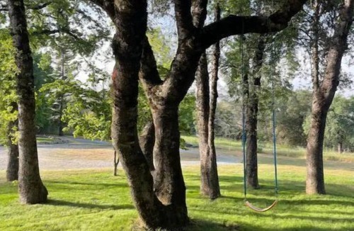 Grass Valley House | Quiet Gold Country Guest House in the Sierra Nevada Mountains. Pet Friendly!