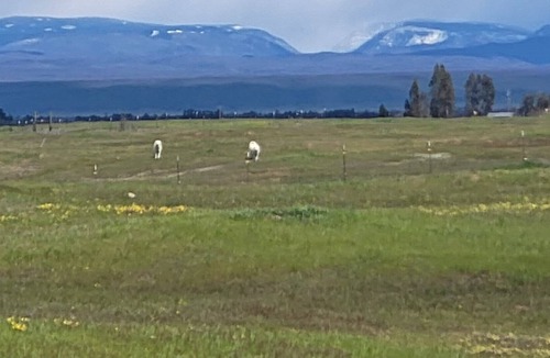 Flournoy Other | Quiet, vast,mountain views farm house where you and your family will enjoy
