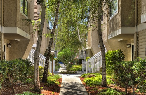 Cambrian Community Hotel | Residence Inn San Jose Campbell