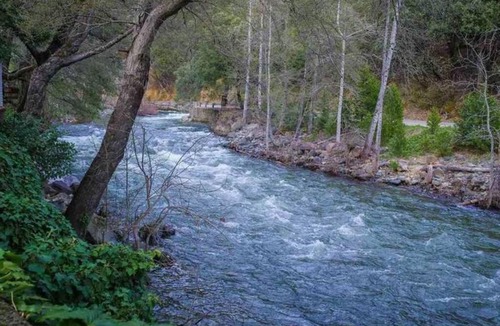 Dunsmuir Ski Chalet | River Oak Retreat - Upper Sacramento Riverfront!