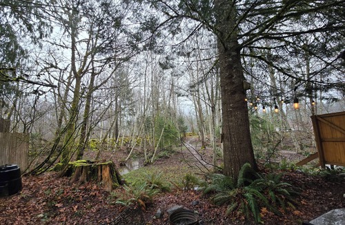 Packwood Cottage | Riverfront Cottage in Packwood - Near Mt Rainier and White Pass - AC - EV Plug