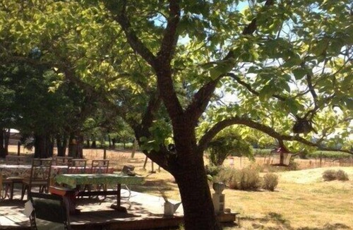 Geyserville House | Safe Retreat: Birders, Cyclists, Wine Lovers, River Revelers Welcome!